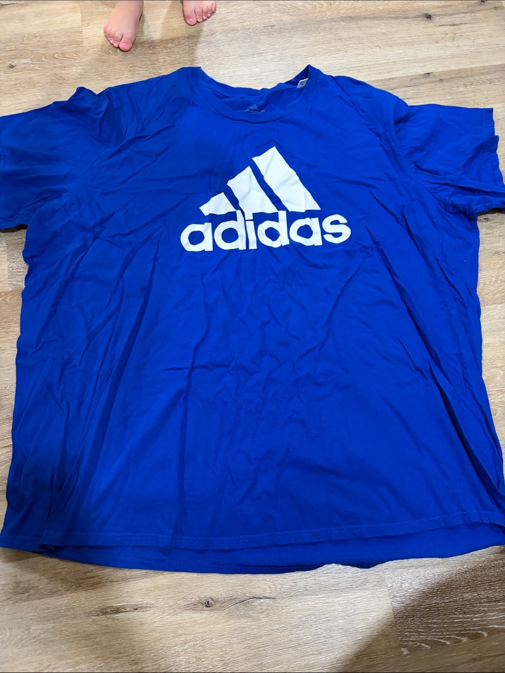 adidas Bold White Logo Tee in Bright Blue amplifier tee